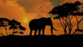 Elephant stands and looks around in the savanna