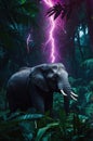Majestic Elephant in Tropical Storm, Jungle Night Royalty Free Stock Photo