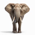 Realistic Rendering Of Elephant With Large Tusks On White Background