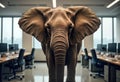 Elephant stands in modern office. Awkward situation. Difficult topic. People avoid discussion. Uncomfortable silence. Modern Royalty Free Stock Photo