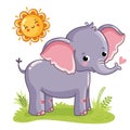 Elephant stands on the sunny meadow.