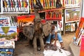 Elephant Statue with Carver and Paintings