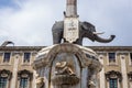 Elephant statue in Catania