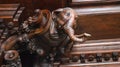 Elephant statue Detail in the library of Patriarch Delfino, Udine, Italy Royalty Free Stock Photo