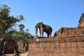 Elephant statue overlooking tress in ancient angkor wat temple ruins cambodia, buddhism, hinduism