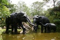 Elephant Statues - Singapore Zoo, Singapore Royalty Free Stock Photo