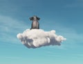 Elephant stays on a cloud.
