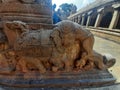 Elephant Stone Carving  in Brihadeeswara Temple Thanjavur, Tamilnadu India Royalty Free Stock Photo