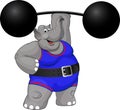 Elephant strongman