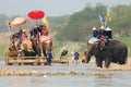 Elephant Sukhothai Royalty Free Stock Photo