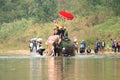 Elephant Sukhothai Royalty Free Stock Photo