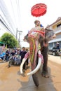 Elephant Sukhothai Royalty Free Stock Photo