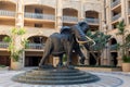 Elephant in Sun City, Lost City in South Africa