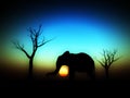 Elephant Sunrise 4