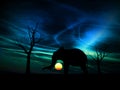 Elephant Sunrise 96 Royalty Free Stock Photo