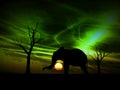 Elephant Sunrise 97 Royalty Free Stock Photo