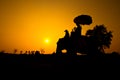 Elephant and Sunset with sunset scene