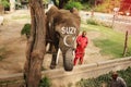 Elephant SUZI and trainer in the Lahore Zoo