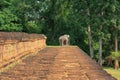 Elephant Temple at Angkor Wat Cambodia