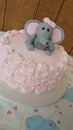 Elephant theme baby shower Royalty Free Stock Photo