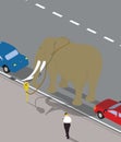 Elephant tied to a parking meter