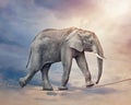Elephant on a tightrope Royalty Free Stock Photo