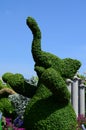 Elephant topiary at Epcot