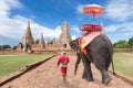 Elephant for Tourists and mahout walking tour at the ancient cit Royalty Free Stock Photo