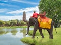 Elephant for Tourists ride tour on an of the ancient city old te Royalty Free Stock Photo