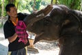 Elephant trainer kares about kiss small elephant-calf