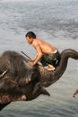 Elephant trainer in Nepal