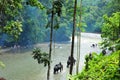 Elephant trekking in Gunung Leuser National Park of Sumatra, Ind