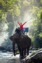 Elephant trekking through jungle