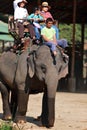 Elephant Trekking,Thailand