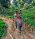 Elephant Trekking