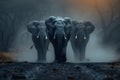 Elephant Trio on Misty Path, Symphonic Silence in Nature. Concept Wilderness Wanderlust, Majestic