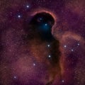 Elephant Trunk Nebula Royalty Free Stock Photo