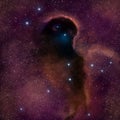 Elephant Trunk Nebula