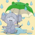 Elephant with umbrella