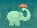 Elephant with Umbrella