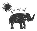 Elephant Under Sun Heat Grunge Icon Symbol