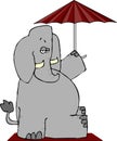 Elephant Under An Umbrella