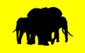 black and yellow photo of Family of elephants