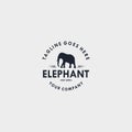 Elephant vintage logo design template. Design elements for logo, label, emblem, sign. Vector illustration - Vector