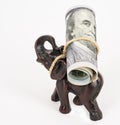 Elephant walk with 100 dollars note. Royalty Free Stock Photo