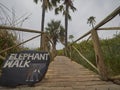 The Elephant walk is a wooden bridge at Palmwag Lodge Royalty Free Stock Photo