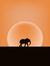An elephant walking in the desert Royalty Free Stock Photo