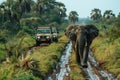 An elephant is walking down a muddy road next to a truck Royalty Free Stock Photo