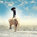 Elephant walking on rope Royalty Free Stock Photo