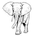 Elephant walking sketch hand drawn in doodle style Vector illustration Royalty Free Stock Photo